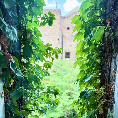 The Flow Апартаменты