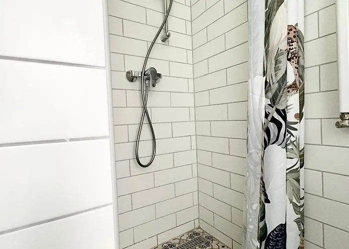 The Flow * 布达佩斯